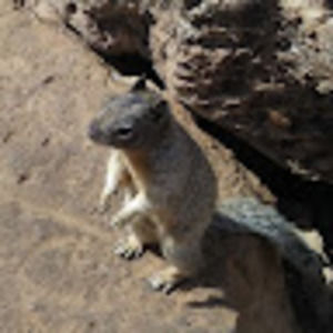 Meet your Posher, Aidan